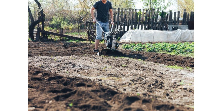 6 narzędzi i sprzętów, które ułatwią Ci zakładanie ogrodu