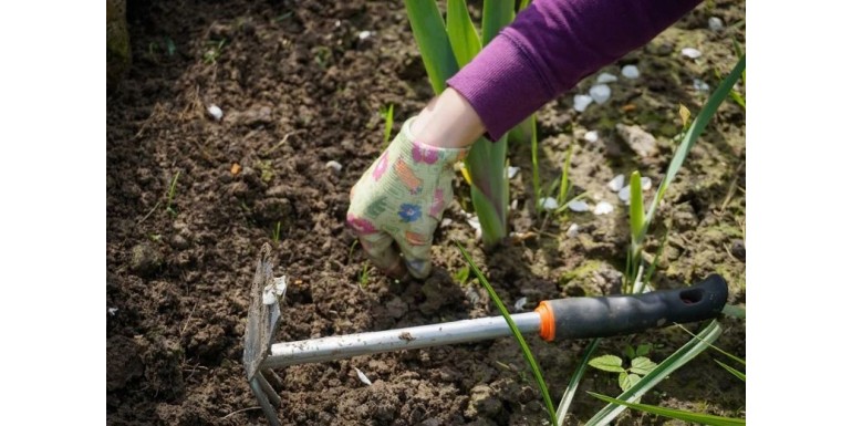 Jak przygotować ogród do nadejścia wiosny?