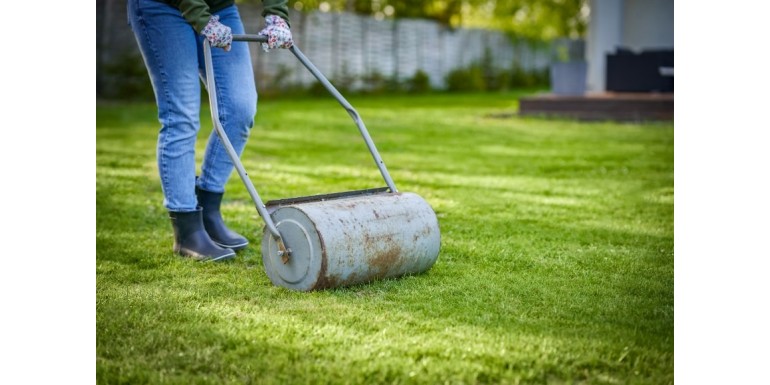 Walcowanie trawnika - kiedy i jak je wykonać?
